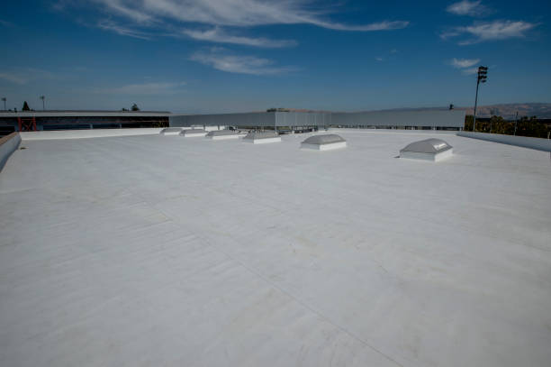 Best Roof Ventilation Installation  in Boise, ID