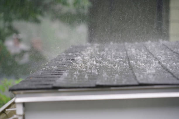 Best Sheet Metal Roofing  in Boise, ID
