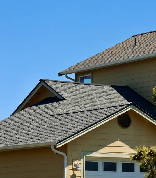 Best Roof Moss and Algae Removal  in Boise, ID