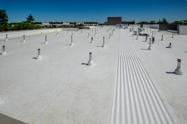 Best Roof Insulation Installation  in Boise, ID